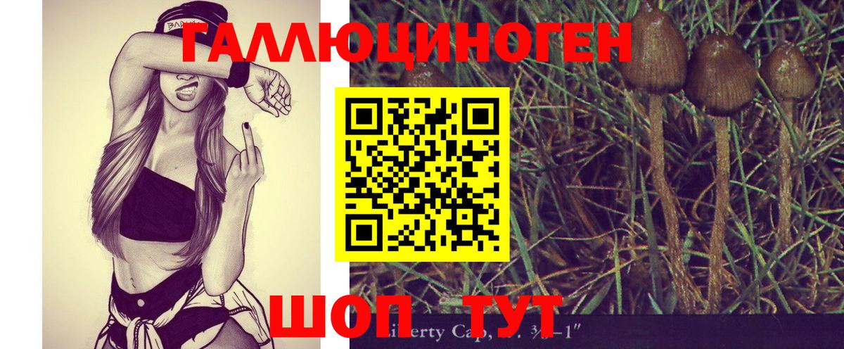 Югорск  Псилоцибиновые грибы MAGIC MUSHROOMS  Вход с VPN 